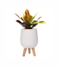 Honeycomb Style – Image 2