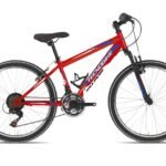 TECNOBIKE MTB RIDE 24