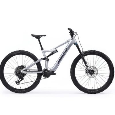 E-BIKE AMFLOW PL CARBON 800 WH-L