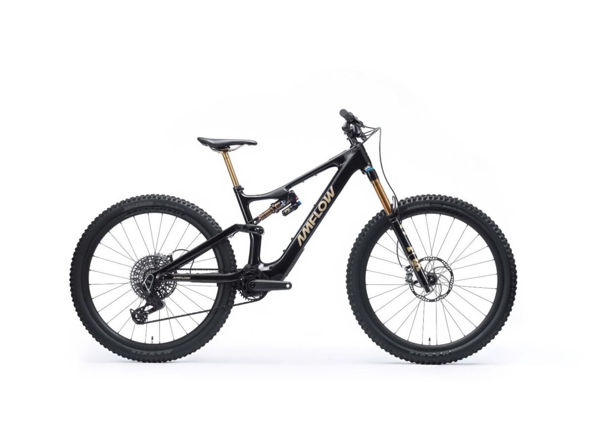 E-BIKE AMFLOW PL CARBON PRO 800 WH-M