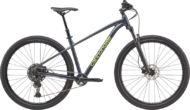 CANNONDALE TRAIL 1