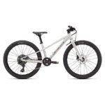 SPECIALIZED RIPROCK 24