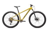 ROCKHOPPER EXPERT 29