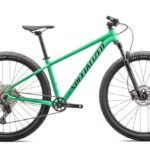 ROCKHOPPER EXPERT 29
