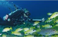 Waydoo Subnado Underwater Scooter – Image 8